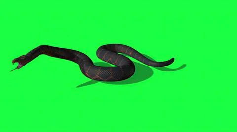 3d illustration - Python Snake With Green Screen Background Stock Illustration