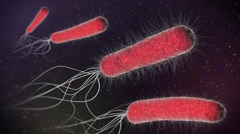 3d illustration of red bacteria or single cell microorganisms Stock Illustration