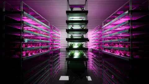 3d illustration render of vertical farm in modern background purple lights for p Illustrazione stock