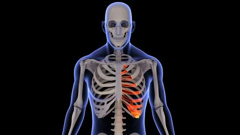 3D illustration of a scan of a human skeleton isolated on a black background Illustrazione stock