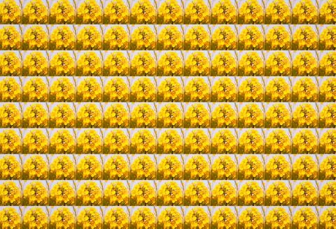 3D illustration seamless pattern with close up of mustard flowers Illustrazione stock