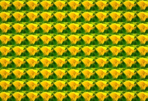 3D illustration seamless pattern with macro mustard flowers Illustrazione stock