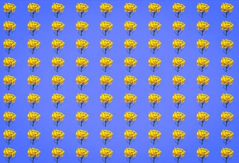 3D illustration seamless pattern with mustard flowers Stock Illustration