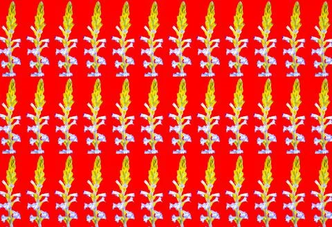 3D illustration seamless pattern with Orobanche ramosa plant Иллюстрация