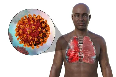 A 3D illustration showcasing the upper half part of a man with transparent .. Stock Illustration