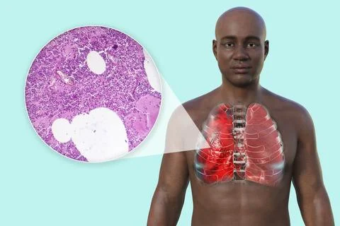 A 3D illustration showcasing the upper half part of a man with transparent .. Illustrazione stock