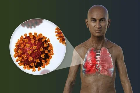 A 3D illustration showcasing the upper half part of a man with transparent .. Stock Illustration