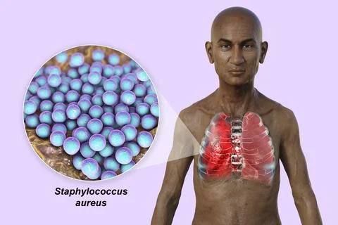 A 3D illustration showcasing the upper half part of a man with transparent .. Illustrazione stock