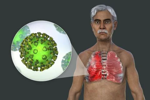 A 3D illustration showcasing the upper half part of a man with transparent .. Illustrazione stock