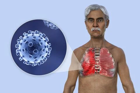 A 3D illustration showcasing the upper half part of a man with transparent .. Stock Illustration