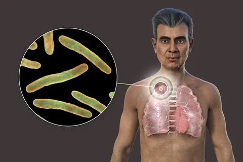 A 3D illustration showcasing the upper half part of an Indian man with transp Illustrazione stock