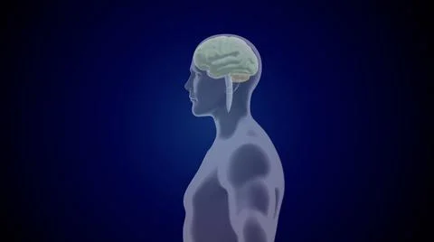 3d illustration of side view of human head with brain hologram. 스톡 일러스트