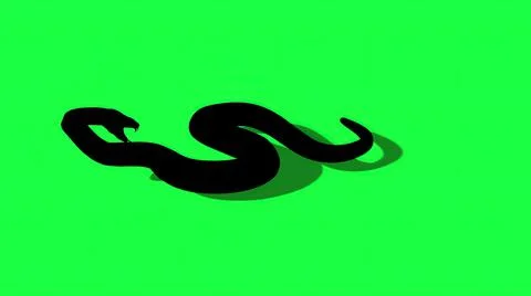 3d illustration -  silhouette Python Snake With Green Screen Background Stock Illustration