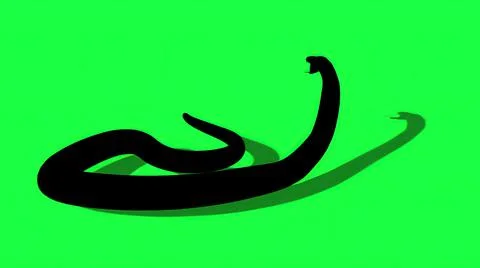 3d illustration -  silhouette Python Snake With Green Screen Background Stock Illustration