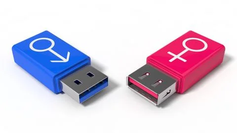 3d illustration of simple usb stick with gender symbols. Stock Illustration