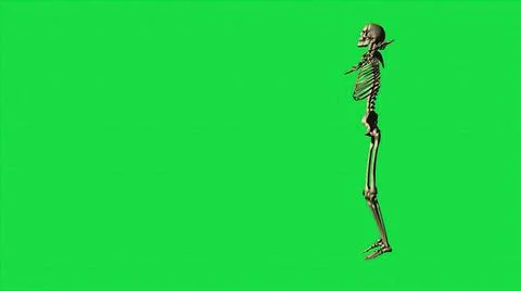 3d illustration - Skeleton Exercise Karate, Separate On Green Screen Stock Illustration