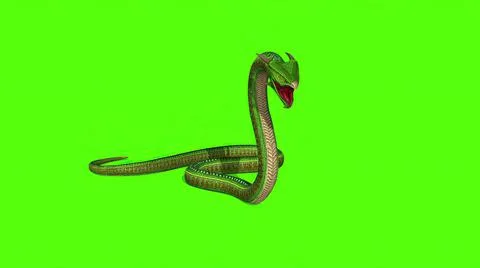 3d illustration - Snake  Python on Green Screen background Stock Illustration