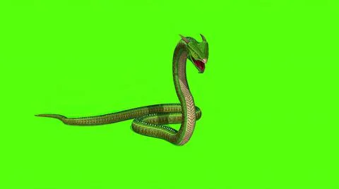 3d illustration - Snake  Python on Green Screen background Stock-Illustration