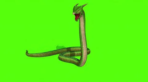 3d illustration - Snake  Python on Green Screen background Stock-Illustration