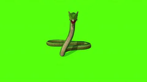 3d illustration - Snake  Python on Green Screen background Stock-Illustration