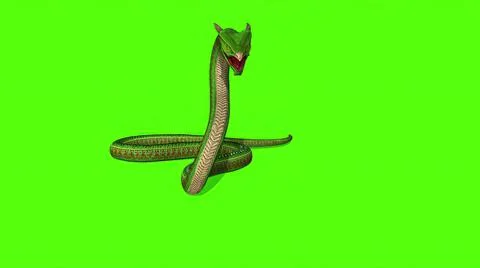 3d illustration - Snake  Python on Green Screen background Stock-Illustration