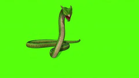 3d illustration - Snake  Python on Green Screen background Stock-Illustration