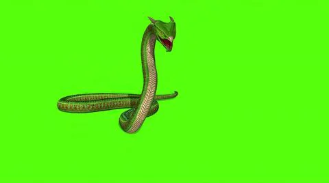 3d illustration - Snake  Python on Green Screen background Stock Illustration