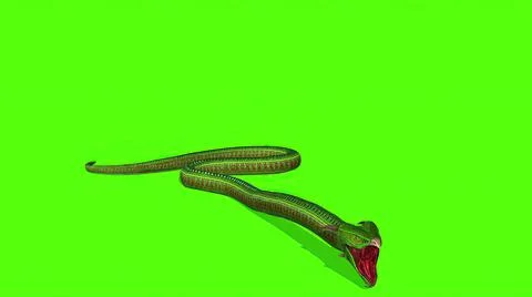 3d illustration - Snake  Python on Green Screen background Stock Illustration