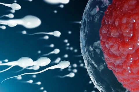 3D illustration sperm and egg cell, ovum. Sperm approaching egg cell. Native and Stock Illustration