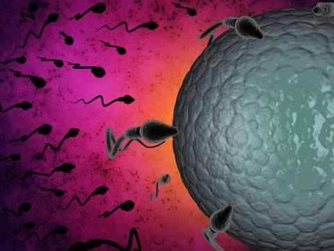 3D illustration sperm and egg cell Stock Illustration