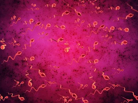 3D illustration sperm and egg cell 스톡 일러스트