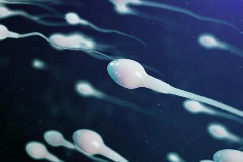 3D illustration sperm approaching egg cell, ovum. Natural fertilization - close Stock Illustration