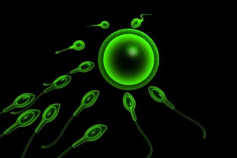 3d illustration of Sperm cells Stock Illustration