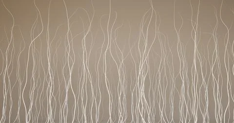 3d illustration of the structure of thin white threads or hairs on a plain c 库存插图