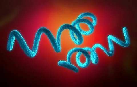 3d illustration of a syphilis pathogen Stock Illustration