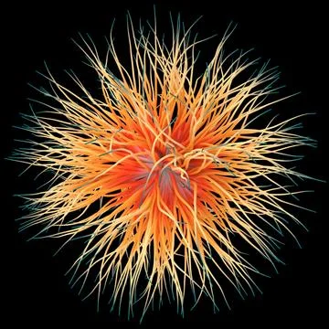 3D illustration of three-dimensional object like a virus on black background. Stock Illustration