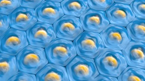 3d illustration of a top view on blue cell pattern with yellow cell nucleus Stock Illustration