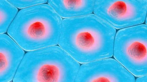 3d illustration of a top view on blue cell pattern with red cell nucleus Stock Illustration