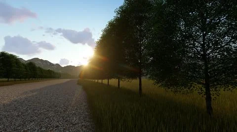 3D illustration of a tree along the sunset road. 3D rendering Stock Illustration