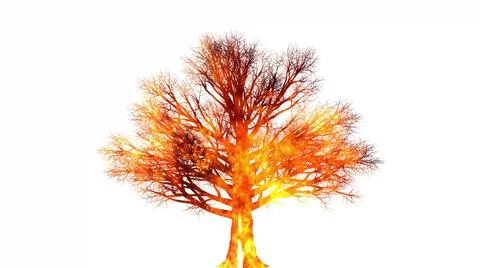 3D illustration of a tree on fire 360 degree rotation view of a wild tree bei Stock Illustration