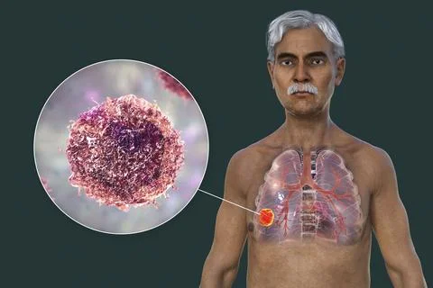 A 3D illustration of the upper half part of a man with transparent skin, re.. Illustrazione stock