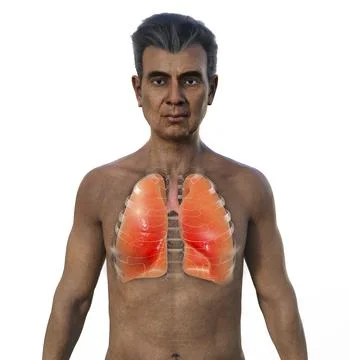 A 3D illustration of the upper half part of a senior man with transparent s.. Illustrazione stock