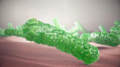 3d illustration viruses causing infectious diseases, decreased immunity. Concept Stock Illustration