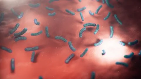 3d illustration viruses causing infectious diseases, decreased immunity. Concept Stock Illustration