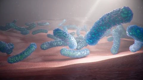 3d illustration viruses causing infectious diseases, decreased immunity. Concept Stock Illustration
