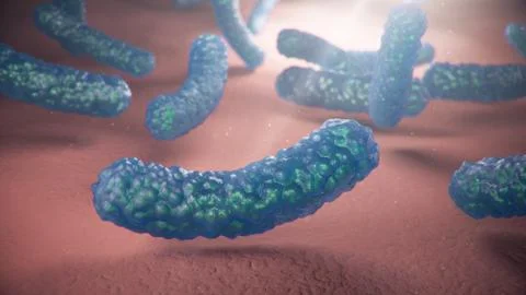 3d illustration viruses causing infectious diseases, decreased immunity. Concept Stock Illustration