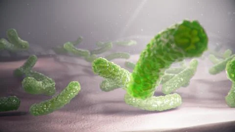 3d illustration viruses causing infectious diseases, decreased immunity. Concept Stock Illustration