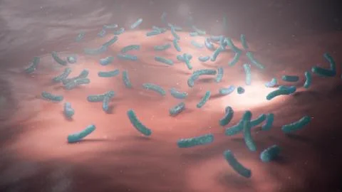 3d illustration viruses causing infectious diseases, decreased immunity. Concept Stock Illustration