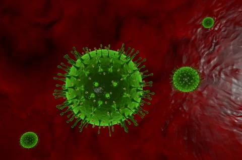 3D illustration of Viruses under a microscope inside the circulatory system Stock Illustration