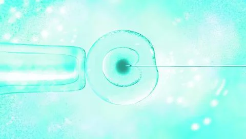 3d illustration of in vitro fertilization under a microscope. egg, medical Stock Illustration
